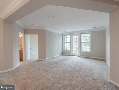 24701 Byrne Meadow Square unit 308, Aldie, VA 20105 - photo 3