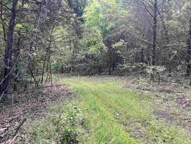 0 Meadow Creek Dr unit 24016886, Harrison, AR 72601 - photo 7