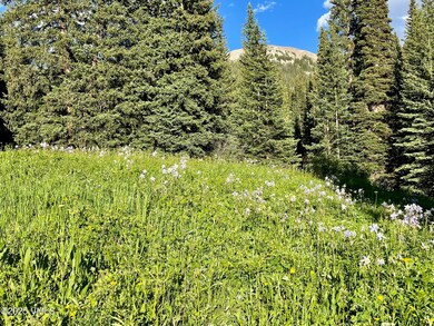 001 Street 8, Eagle, CO 81631 - photo 4