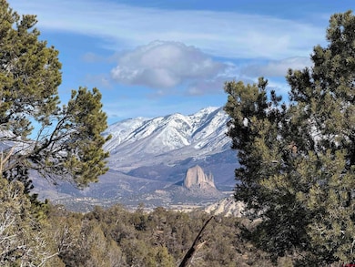 38.06 tbd Black Bear Trail, Crawford, CO 81415 - photo 2