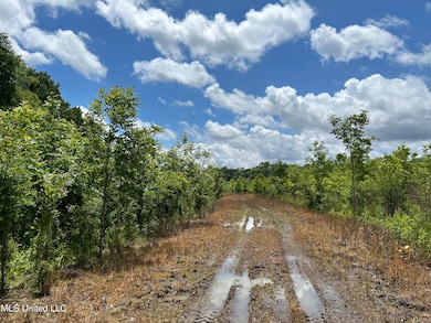 0 Brahan Rd, Sledge, MS 38670 - photo 2