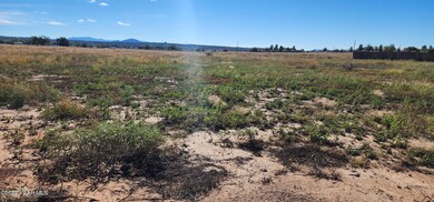 340 W Guymas Trail, Paulden, AZ 86334 - photo 7