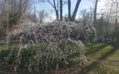 103 Nh Route 119 W, Fitzwilliam, NH 03447 - photo 5