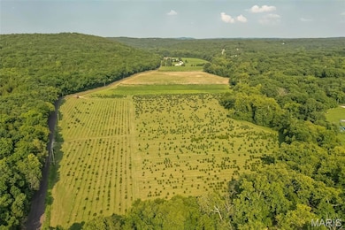 14560 Dry Fork Rd, Festus, MO 63028 - photo 2