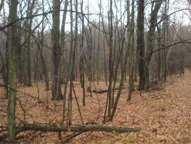 6.41 acres of HIGH AND DRY buildable land, bring y
