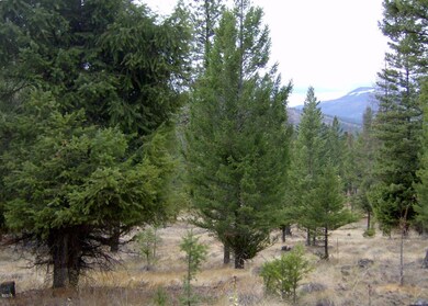 168 Torto Loop, Kila, MT 59920 - photo 4