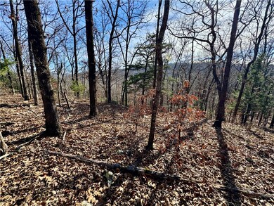 TBD Old Cabin Rd, Winslow, AR 72959 - photo 6