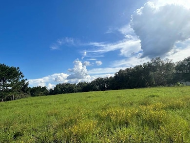 Facing the land from the road