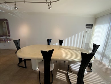 North Shore Towers unit 32O, Floral Park, NY 11005 - photo 4