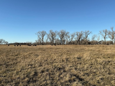 160.52± Acres Holt County, Stuart, NE 68780 - photo 4