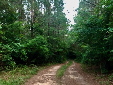 0 Hurricane Creek Rd unit RTC2596234, Linden, TN 37096 - photo 2