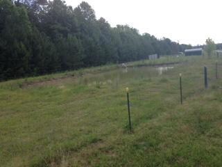 IMG_0712[1]