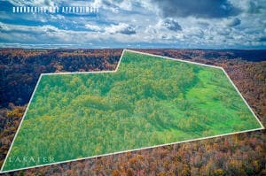 0 Terrapin Rd S, Harrison, AR 72601 - photo 3