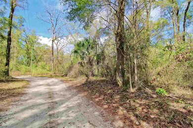 0 San Peoro Dr unit 315966, Crawfordville, FL 32327 - photo 6