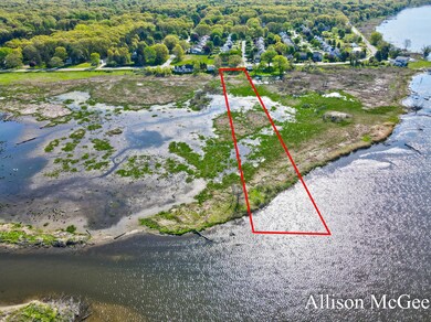 Allison McGee Grand River Lot-4