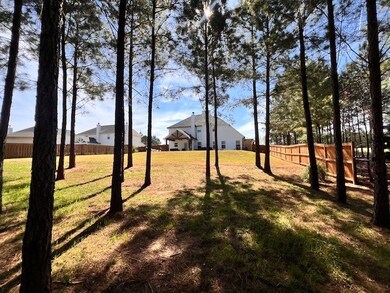 Beautiful Backyard