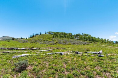 1880 W Mountain Haven Ln, Midway, UT 84049 - photo 2