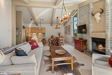 855 Carriage Way unit Slope 303, Snowmass Village, CO 81615 - photo 4