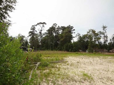 0 Nelson Landing Dr, Pearl River, LA 70452 - photo 6