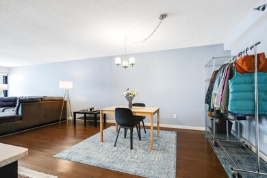 Groveland Terrace unit 305, Minneapolis, MN 55403 - photo 4