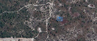 431 Lucille Ln, Lake Placid, FL 33852 - photo 4