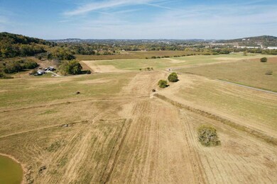 17 Elihu Cabin Hollow Rd, Somerset, KY 42501 - photo 6