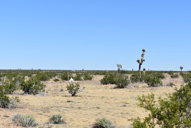 0 225th St E, Lancaster, CA 93544 - photo 5