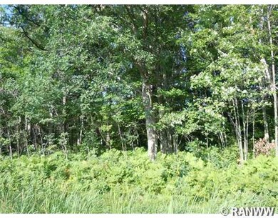 0 Hwy 35 unit 863383, Webster, WI 54893 - photo 4