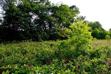 650 North St, Walkerton, IN 46574 - photo 4