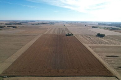 1229 Township Road 1800e, Biggsville, IL 61418 - photo 7