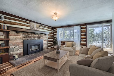 33 Friar Tuck Dr, Divide, CO 80814 - photo 4