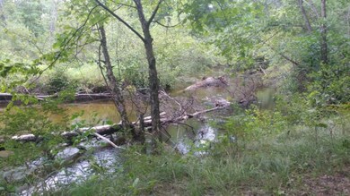 2648 W 1st St, Baldwin, MI 49304 - photo 2