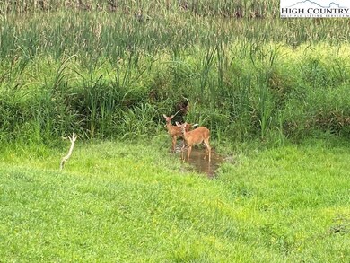 17 Twin Oaks Mountain Blvd, Sparta, NC 28675 - photo 5