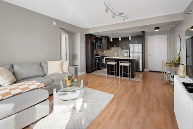 Michaels Terrace unit 506, Chicago, IL 60610 - photo 4