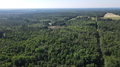 DJI_0426