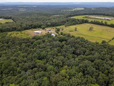 000 Merryman Rd, Formosa Township, AR 72031 - photo 6