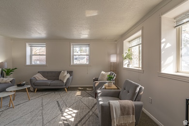 Carpeted living room with a textured ceiling, ornamental molding, and baseboards