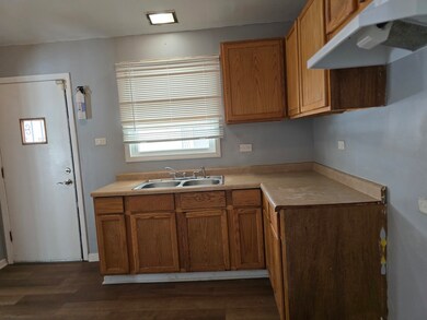 16546 Hermitage Ave, Markham, IL 60428 - photo 4