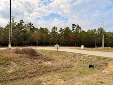 7629 Trinity Pines Dr, Montgomery, TX 77316 - photo 7