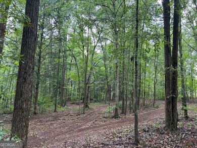 0 Bush St unit 10582678, Barnesville, GA 30204 - photo 3