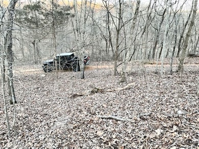 Lots 19 & 20 Tudor Ln, Bella Vista, AR 72715 - photo 7