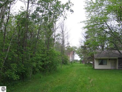 8030 Curtis Rd, Hale, MI 48739 - photo 2