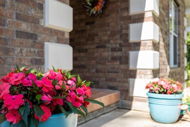 24701 Majestic Ln _ Rob Clay-56