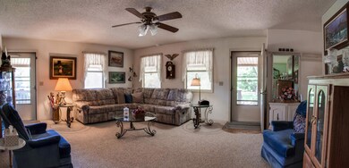 Home for Sale Birch Tree, MO (7)