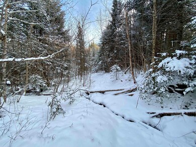 20 & 21 Johnson Ln unit Lot 20 & 21, Colebrook, NH 03576 - photo 3