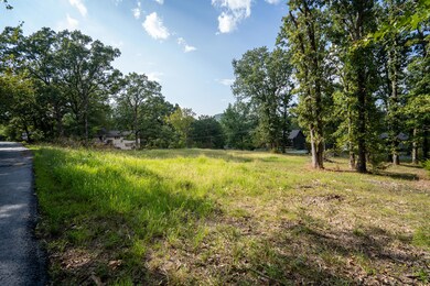 Lots 13-15 Silverbell Dr, Ruth B Rural Township, MO 65686 - photo 4