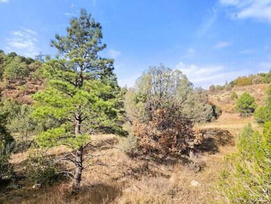 Tbd Indian Spring Dr unit LotWP001, Trinidad, CO 81082 - photo 3