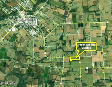 neighborhood aerial
