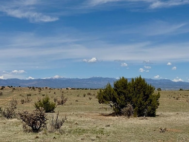 Pikes Peak View