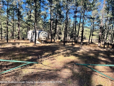 121 Stag Loop, Alto, NM 88312 - photo 3